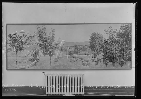 Glassplate og negativ film