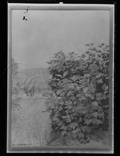 Glassplate og negativ film