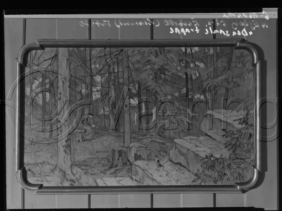 Glassplate og negativ film