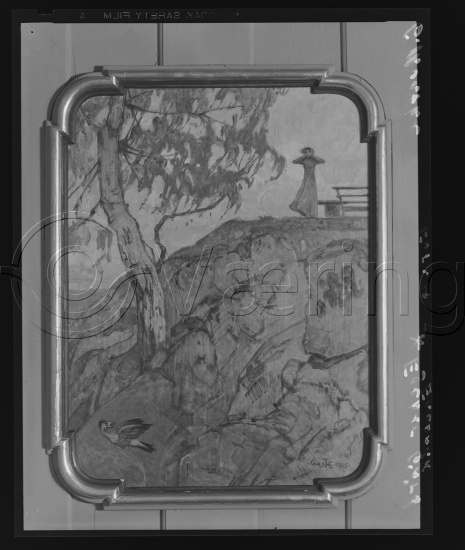 Glassplate og negativ film