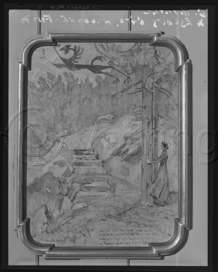 Glassplate og negativ film