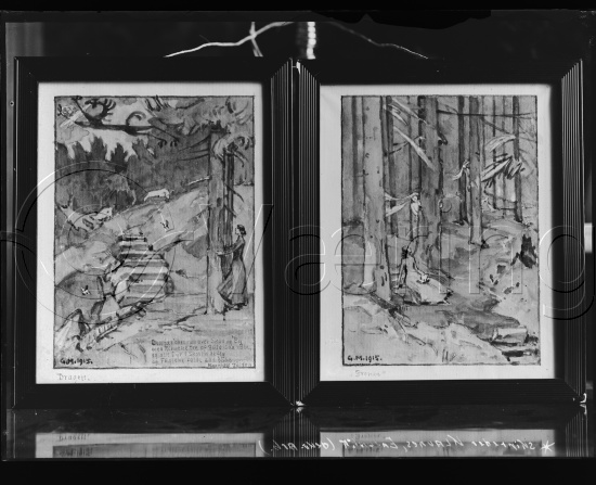 Glassplate og negativ film