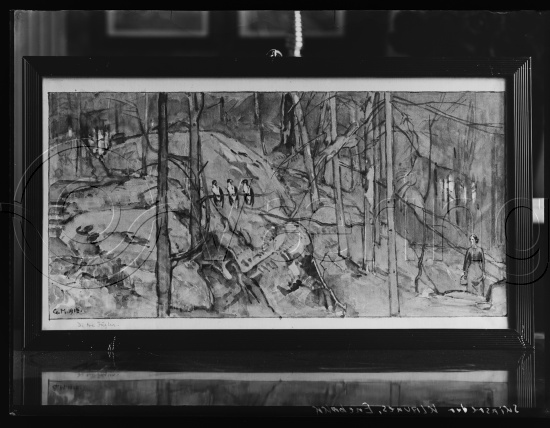 Glassplate og negativ film