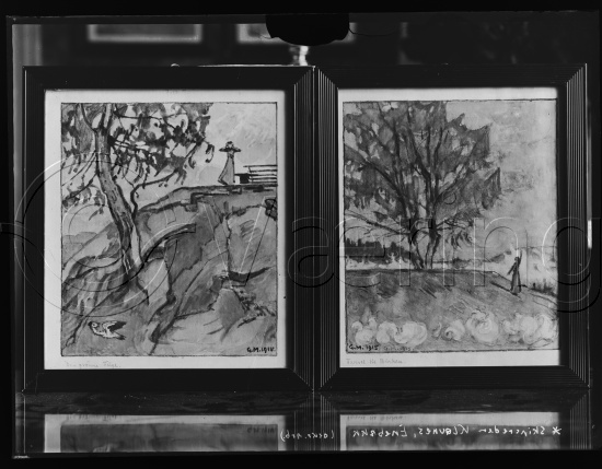 Glassplate og negativ film