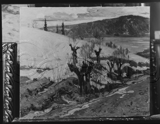 Glassplate og negativ bladfilm