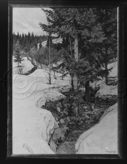 Glassplate og negativ bladfilm