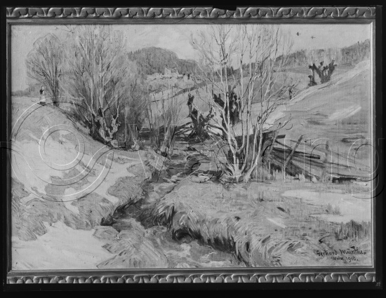 Glassplate og negativ bladfilm