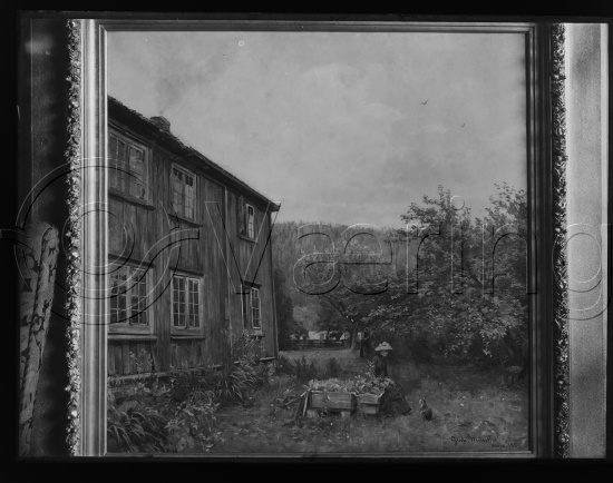 Glassplate og negativ bladfilm