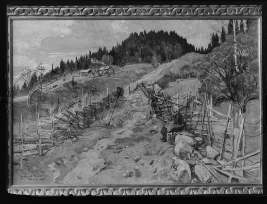 Glassplate og negativ bladfilm