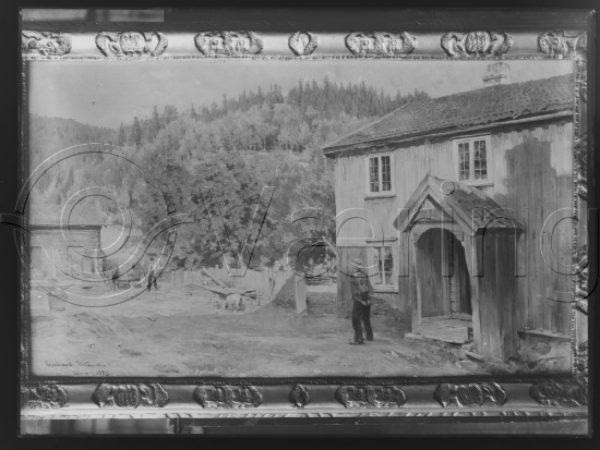 Glassplate og negativ bladfilm