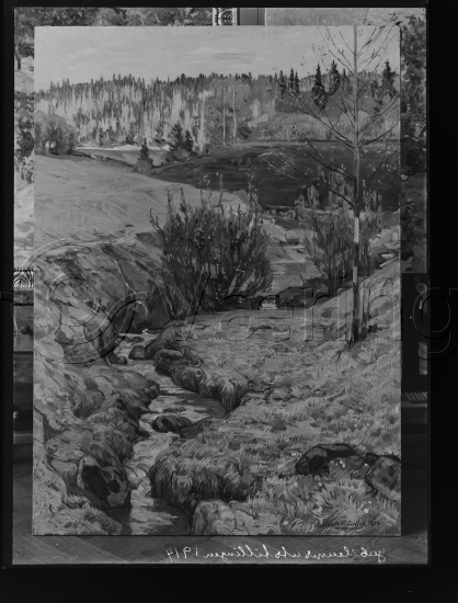 Glassplate og negativ bladfilm