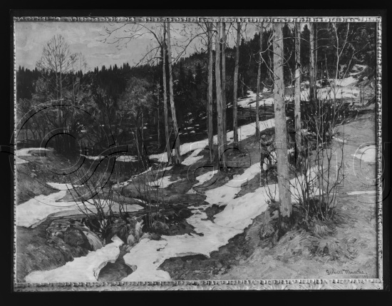 Glassplate og negativ bladfilm