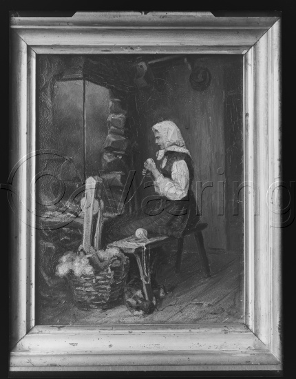 Glassplate og negativ bladfilm