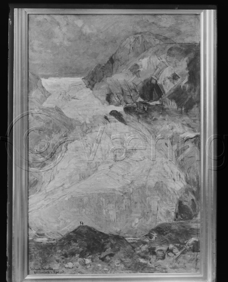 Glassplate og negativ bladfilm