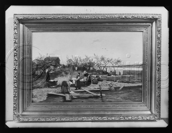 Glassplate og negativ bladfilm