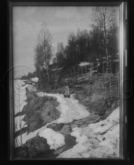 Glassplate og negativ bladfilm