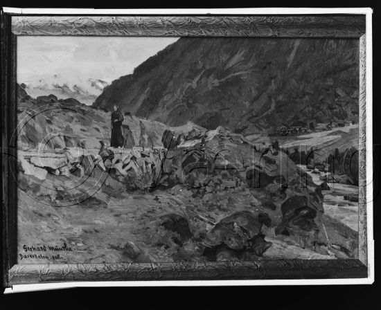 Glassplate og negativ bladfilm