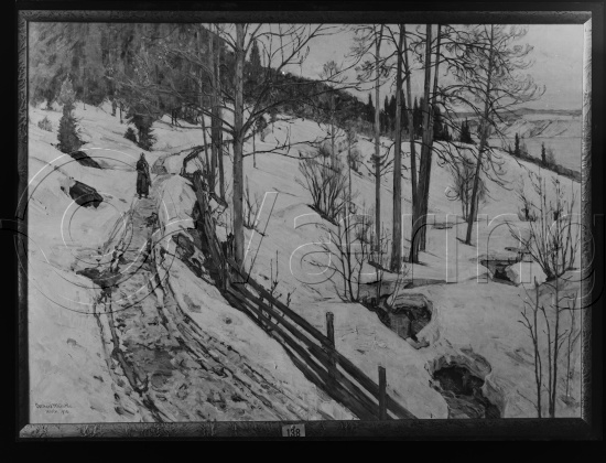 Glassplate og negativ bladfilm