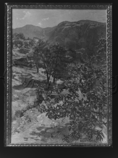 Glassplate og negativ film