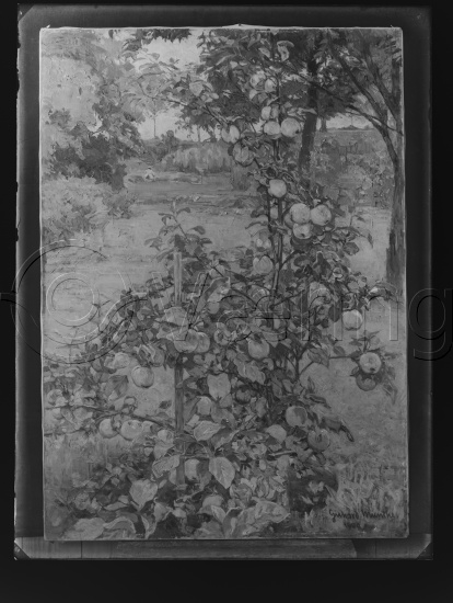 Glassplate og negativ film