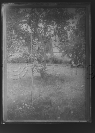 Glassplate og negativ film