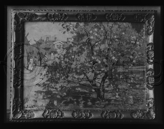 Glassplate og negativ film