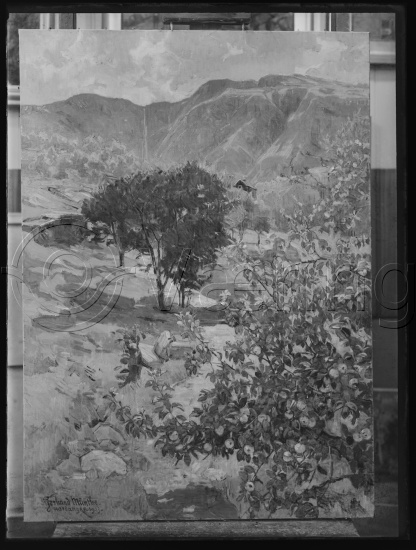 Glassplate og negativ film