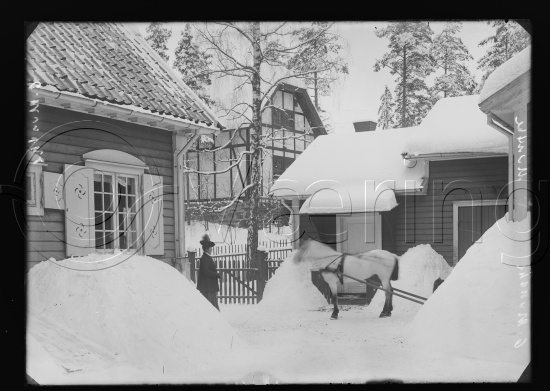 Glassplate negativer