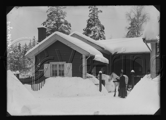 Glassplate negativer