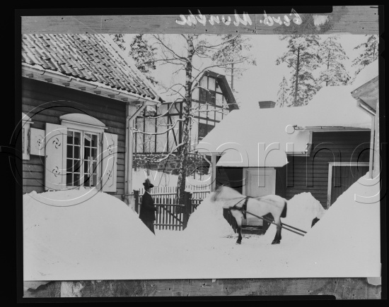 Glassplate negativer