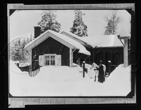 Glassplate negativer