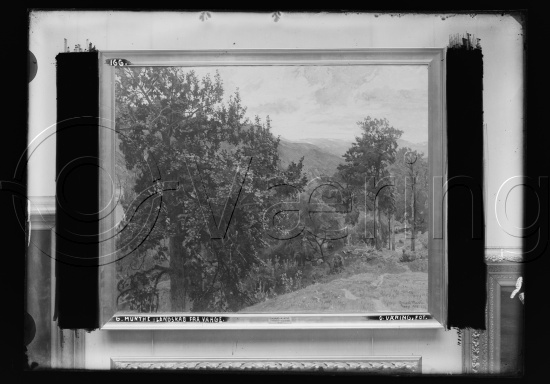 Glassplater og negativ film