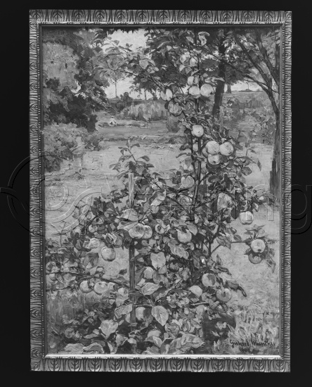 Glassplater og negativ film