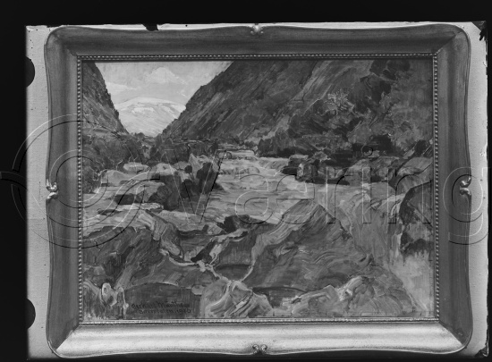 Glassplater og negativ film