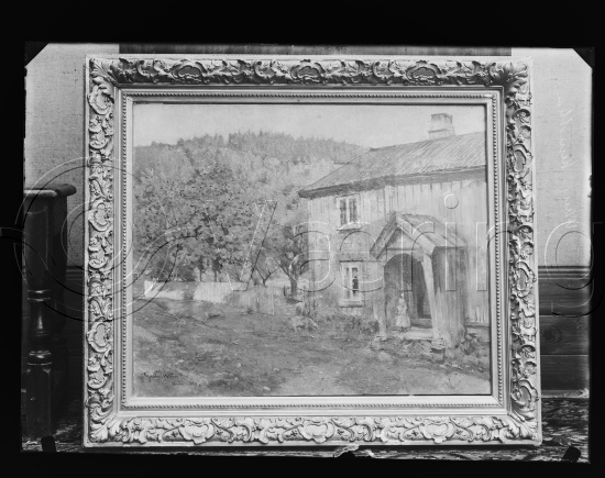 Glassplater og negativ film