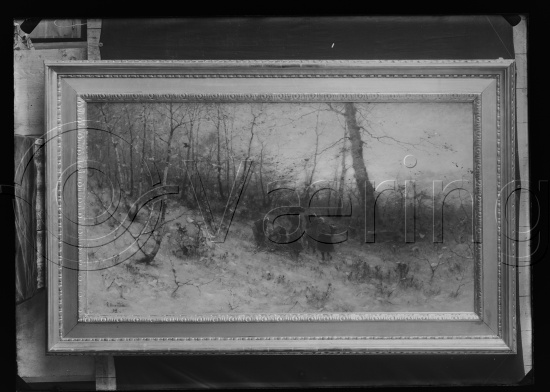 Glassplater og negativ film