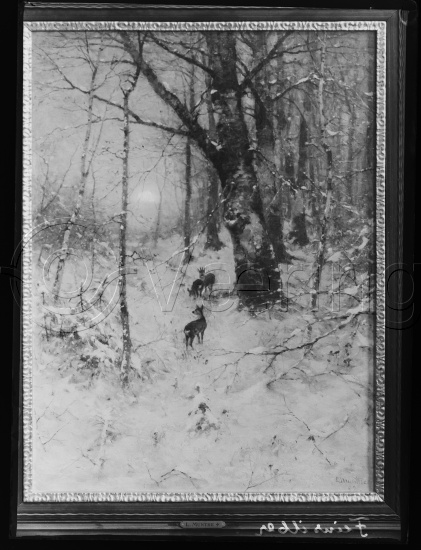 Glassplater og negativ film
