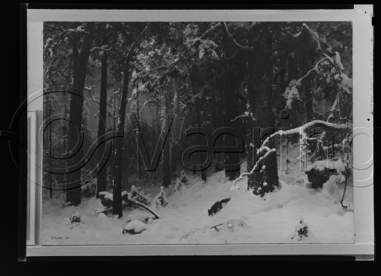 Glassplater og negativ film