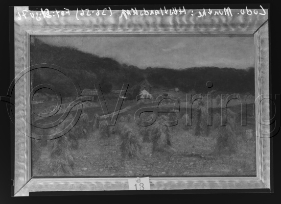 Glassplater og negativ film