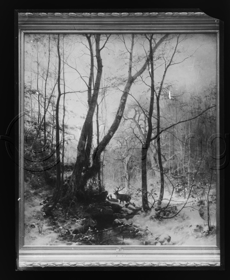 Glassplate og negativ film