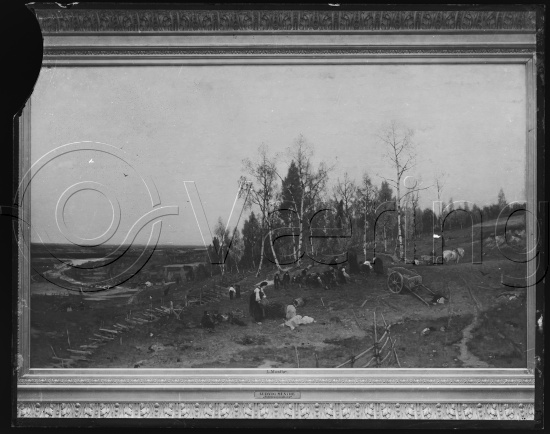 Glassplate og negativ film