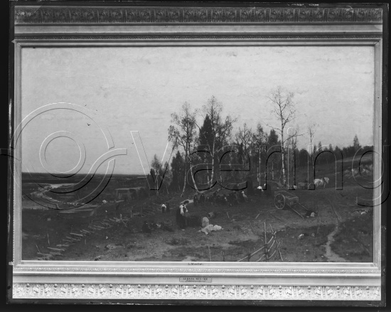 Glassplate og negativ film