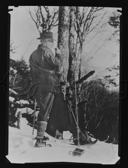 Glassplate og negativ film / Foto O. Væring