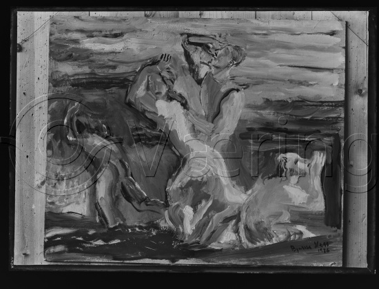 Glassplater og negativ film