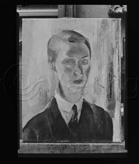 Glassplater og negativ film