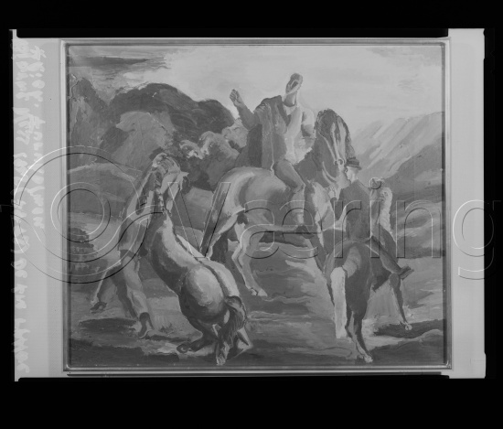 Glassplater og negativ film