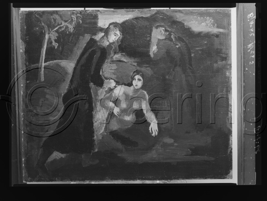 Glassplater og negativ film