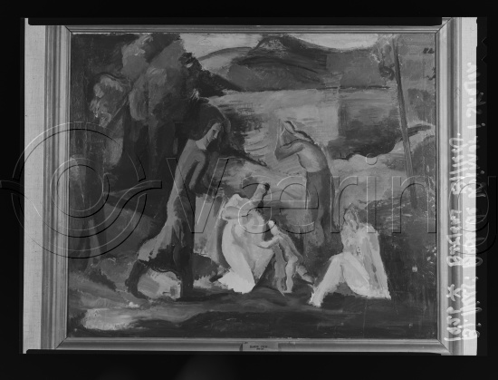 Glassplater og negativ film