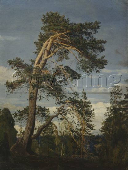 Amaldus Nielsen (1838-1932)
Size: 63x48.5 cm
Location: Museum, 
Photo: O.Væring
