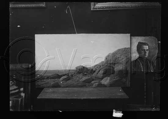 Glassplate og negativ film